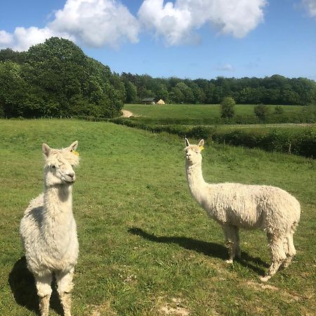 Swallows Oast Glamping Sedlescombe Exterior foto