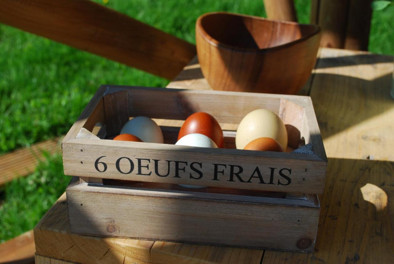 Swallows Oast Glamping Sedlescombe Exterior foto